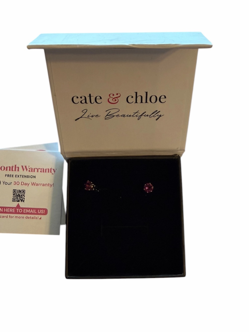 Cate and Chloe February  Stud Earrings